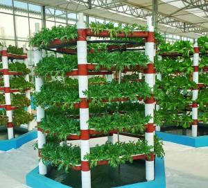 Wholesale Seeding/Vegetables/Fruit/Flower Controlled Environment Hydroponic Seedling Greenhouse from china suppliers