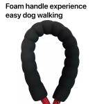 Sturdy Reflective Pet Rope Leashes Nylon Dog Cat Led Leash