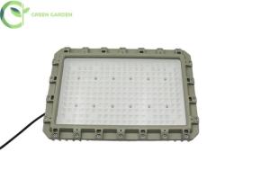 Wholesale High Power Explosion Proof LED Flood Lights For Hazardous Areas 100-277V from china suppliers