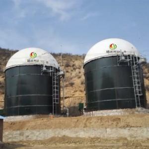 China High Rate Anaerobic Reactor Design Anaerobic Digester Tank Price on sale