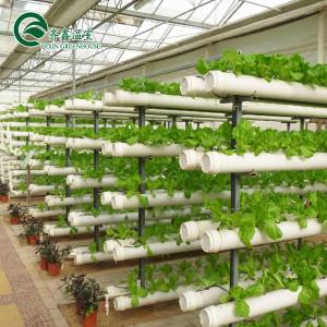Wholesale Complete Hydroponic Grow Tent for Indoor Growing of Vegetables Fruits Flowers and Tomatoes from china suppliers