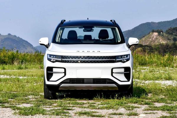 4 Wheel Pickup EV Car 4 Doors Electric Transport Vehicle Geely Radar RD6 185 km