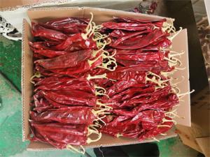 Wholesale Spain Origin Dried Red Hot Chili Peppers With Stem Irresistible Flavor 12000shu from china suppliers