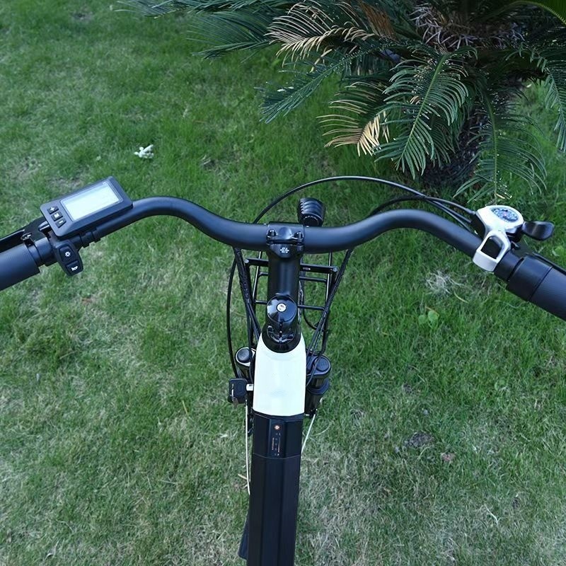 Ladies Step Thru Electric City Bike 36V 11Ah 7 Speed 26" / 24" Electric Bicycle