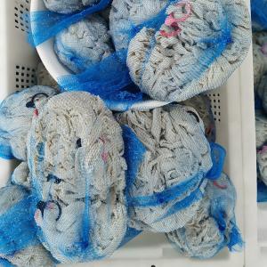 Wholesale 18-20mm Natural Sheep Casings Organic Sausage Casings High Transparency from china suppliers