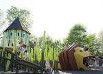 Lion Theme Artistic Playground Slides For Adults Residential Outdoor Playground