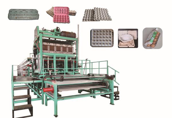 130kw Professional Engineer Designed Egg Tray Machine for Industrial Equipments