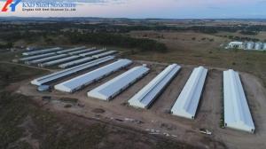 Wholesale Steel Structure Space Frame Piggery Shed , Cow House Shed Farm Building from china suppliers