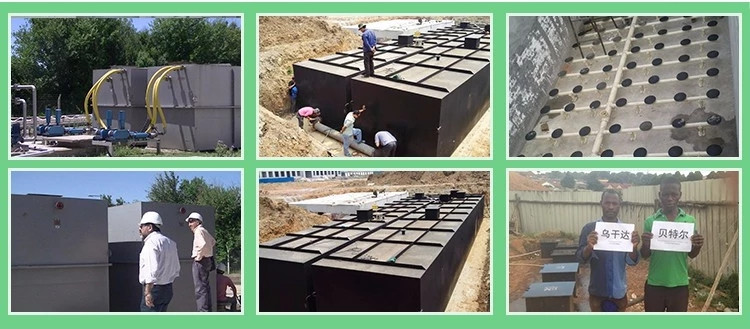 Condition Septic Tank Sewage Treatment Plant for Waste Water Treatment in Food Shop