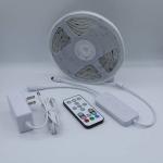 Wifi SMD5050 1.5A Dreamcolor LED Strip Lights 30LEDs/M