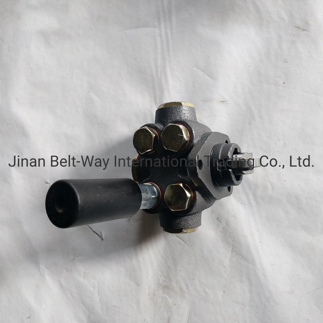 Sinotruk HOWO Parts Truck Parts Truck Spare Parts Oil Transfer Pump 612600080343