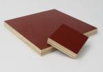 Construction Brown Film Faced Plywood Customized Thickness First Class