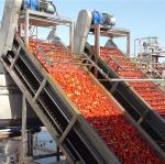 6.5tons Per Hour Raw Tomato Paste Production Line