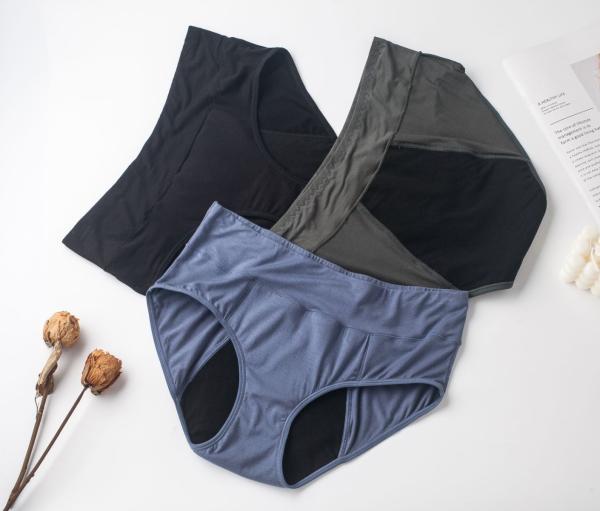Plus Size 4 Layer Leak Proof Full Protection Physiological Brief Panties