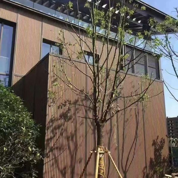 Self Cleaning ASA Capped WPC Outdoor Wall Panel Stain Proof