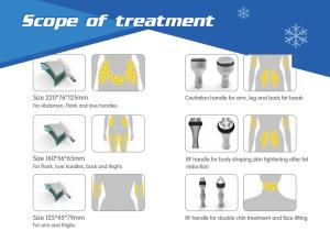 Wholesale Cryolipolysis Slimming Equipment(NBW-C325) from china suppliers
