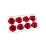Indoor Decoration Beautiful Preserved Rose Heads Customized Color