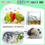 Freezing Seafood / Meat / Vegetables Ice Tube Machine With Stainless Steel 304