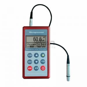 Wholesale Double Probe Paint Thickness Gauge Magnetism F1 Eddy Current N1 from china suppliers