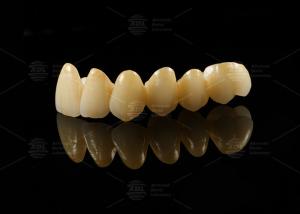 Wholesale Strong Aesthetic Porcelain Fused To Zirconia For Natural Looking Restorations from china suppliers
