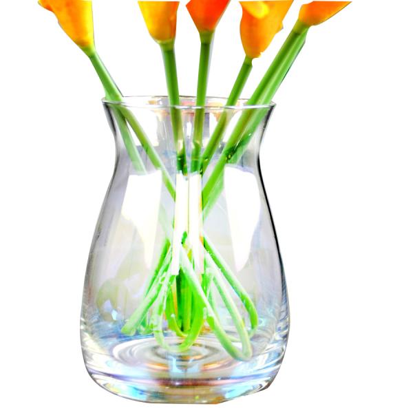 Rainbow Decorative Glass Vase