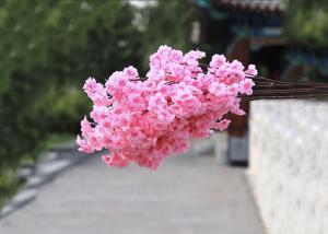 China Holiday Dia. 4cm  Pink Artificial Silk Cherry Flowers on sale