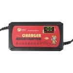 Overvoltage Protection 20AH Dry Battery Charger for Electric Tricycle Battery