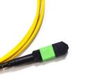 Polarity B 12 Fiber Optic MTP MPO APC Female to Male Patch Cord Truck Cable