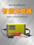 Gooa quality smart 12V 8A 24V 4A Car Motorcycle Battery Charger Pulse Repair Agm