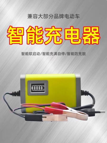 Gooa quality smart 12V 8A 24V 4A Car Motorcycle Battery Charger Pulse Repair Agm