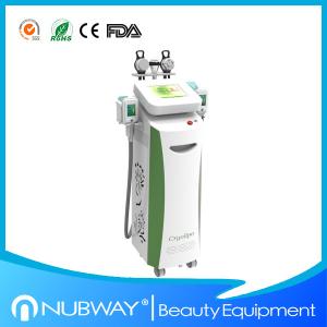 Wholesale Multi-functional body sculpture cryolipolysis device cryolipolysis&amp;vacuum slimming Cryo from china suppliers