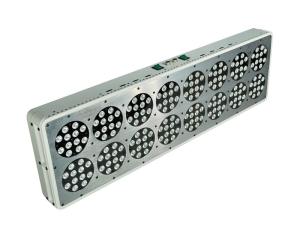 Wholesale 600w indoor led plants growing lights full spectrum,Hydroponics Greenhouse Grow Light from china suppliers