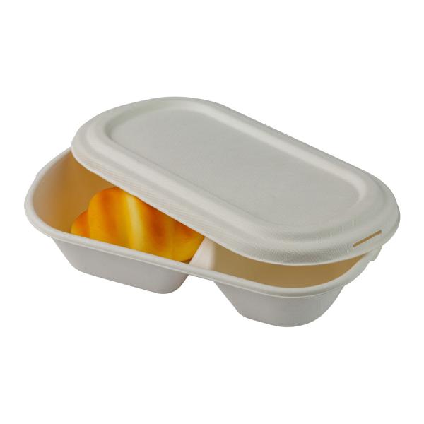 Biodegradable Sugarcane Bagasse Food Container Pulp Lunch Food Take Away