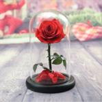Forever Real Rose Everlasting Flower Preserved Fresh Flower Live Enchanted Rose