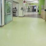 Homogeneous Glue Down Vinyl Flooring Hospital Relle Homogeneous Sheet Vinyl