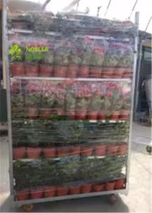Wholesale Flower CC Racks Danish Trolley / CC Container Shelves 40*48*72 Inch from china suppliers