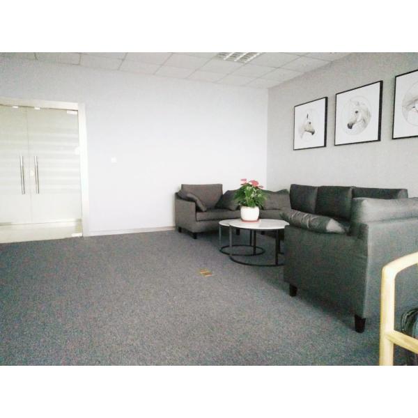 Changzhou Skyerscale Co.,Limited