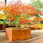 Outdoor Round Flower Planter Pots Corten Steel 2mm Or Customized