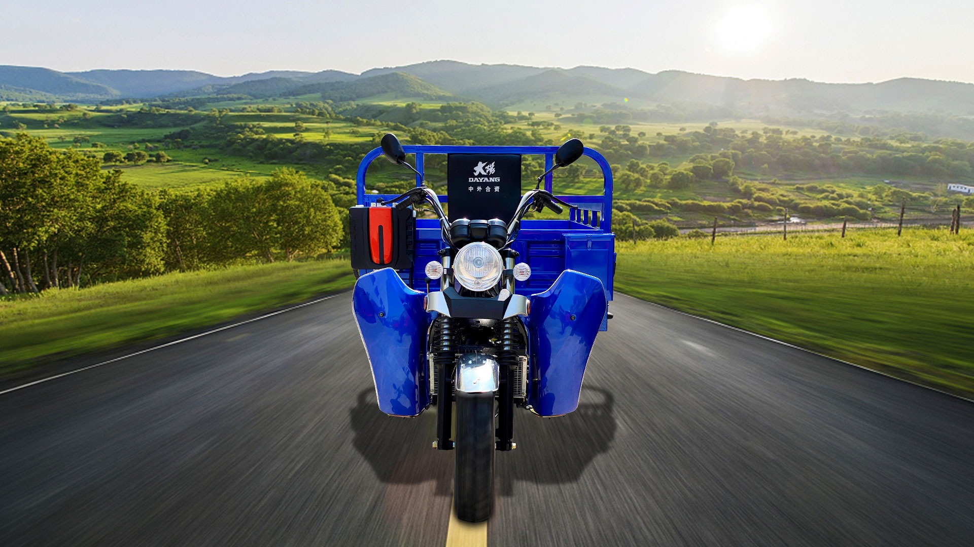 Affordable 200cc Air Cooled Cargo Motor Tricycle with 5.0-12 Tire Size and Performance