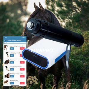 Wholesale Race Horses Relax Equine Shockwave Machine For Soft Tissue Injuries from china suppliers