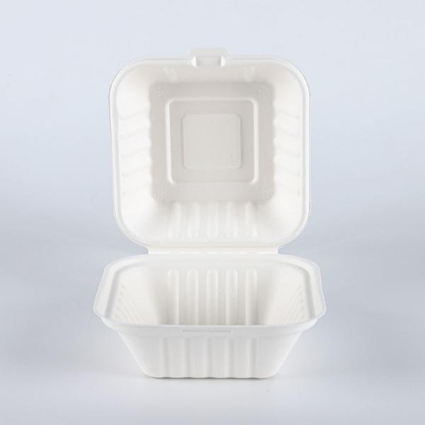 Disposable Biodegradable Bagasse fast food takeaway dinnerware container