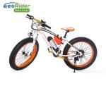 Fat Tire 2 Wheel Electric Bike 26 Inch Suspension Top High Rate Motor 48V 350W
