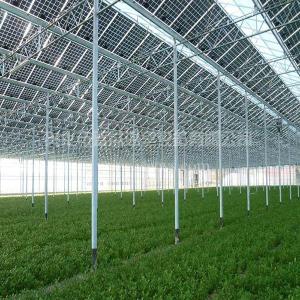 Wholesale Commercial Greenhouse Solar System Electric Power Galvanized Surface Treatment from china suppliers