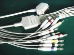 Siemens Hellige One Piece 10 Lead EKG Lead Wires Double Shield TPU Cable
