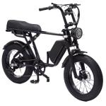 48V 750W Motor Electric Hybrid Bike Full Suspension 20 Inch Fat Tire Ebike 17Ah