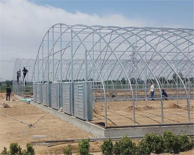 High Quality Clear UV Resistant Greenhouse Film Plastic Agriculture For Strawberry Flower Hydroponic