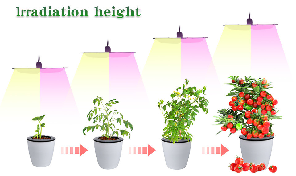 110V 220V White Light Bar Module COB LED Chip For Indoor Outdoor Use