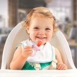 BPA FREE Silicone Baby Feeding Teething Fruit Feeder For Babies Toddlers Infants