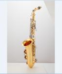 Minsine Black Nickel Plated Brass Alto Instrument Accessories Professional Eb