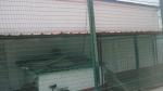 358 high-security fencing